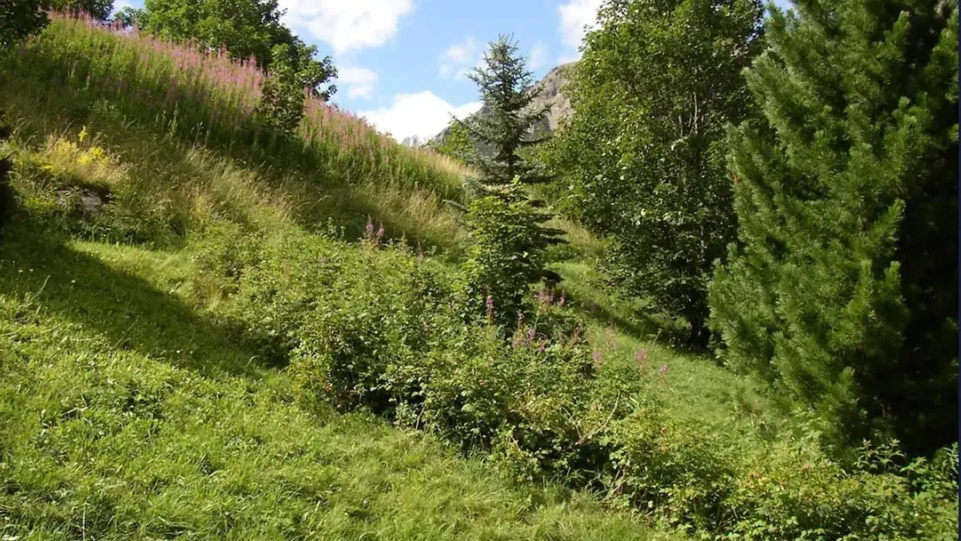 Holiday home Maison Chaleureuse A Le Pont De L'Alp Avec Vue Montagne Le Monetier-les-Bains France